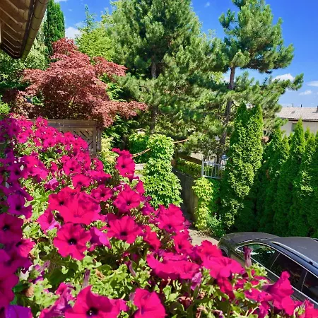 Rudi Hiti's Pensión 4*