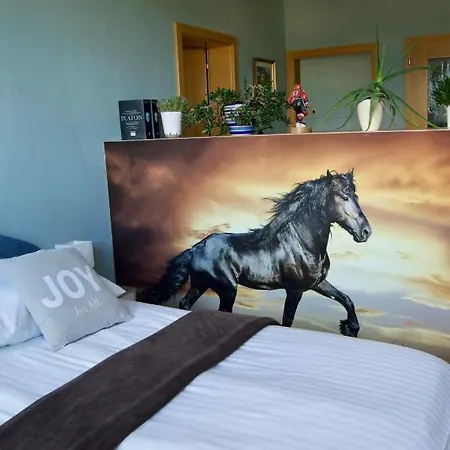 Pensión Rudi Hiti's