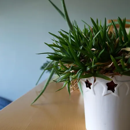 Rudi Hiti's Maison d'hôtes 4*