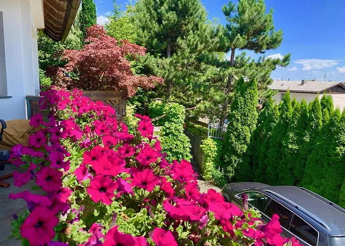 Rudi Hiti's بيت ضيافة 4*