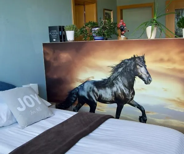 Πανσιόν Rudi Hiti's