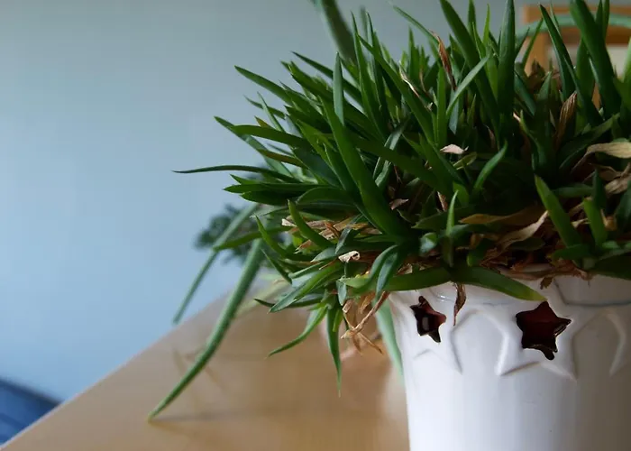 Rudi Hiti's Πανσιόν 4*